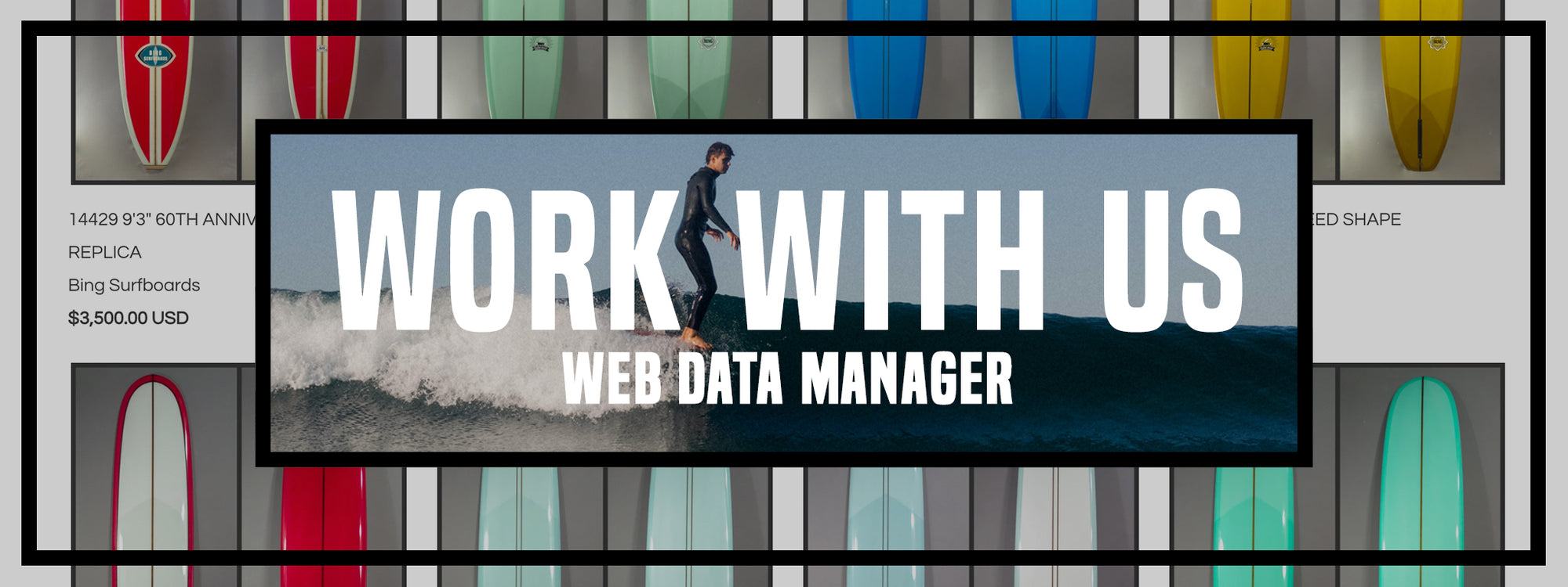 We Are Hiring! Web Data Manager
