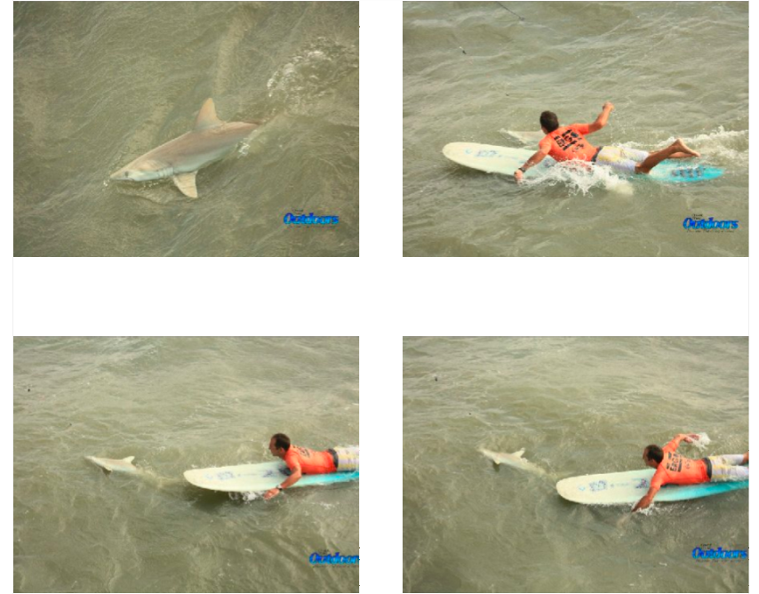 Teamrider Encounters Shark in Surf Contest
