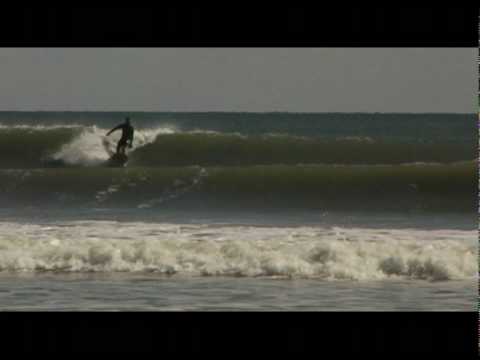Harry Beans Coffee Roaster / Bing Surfboards Rider