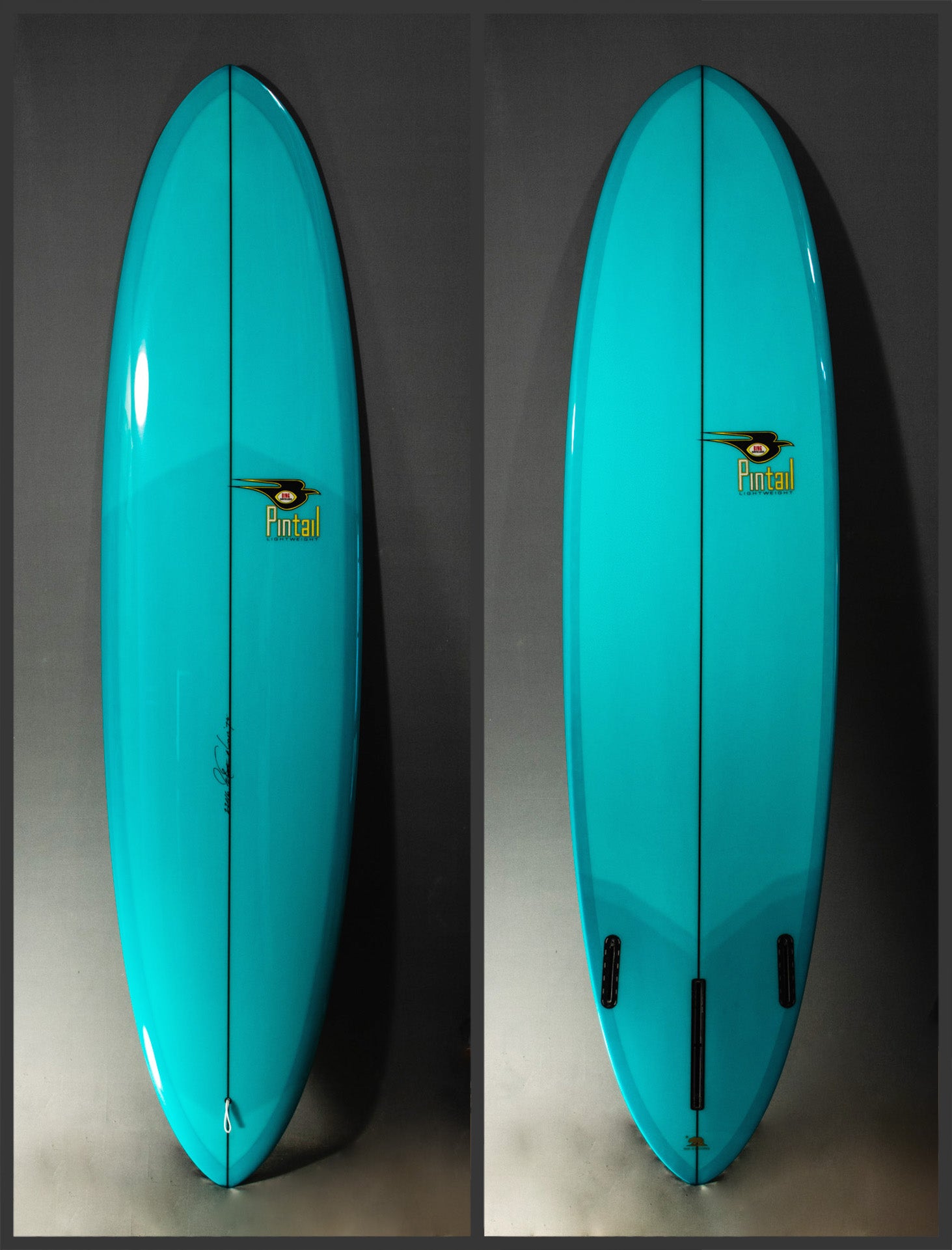 Pintail Mini - Bing Surfboards