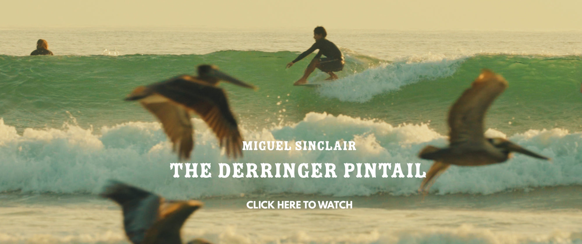 Bing Surfboards - Made in California - 60+ Years of Craftsmanship
