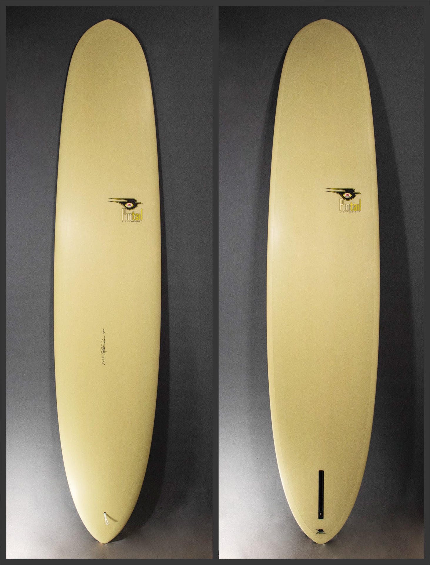 Pintail Lightweight Type 2 - Bing Surfboards