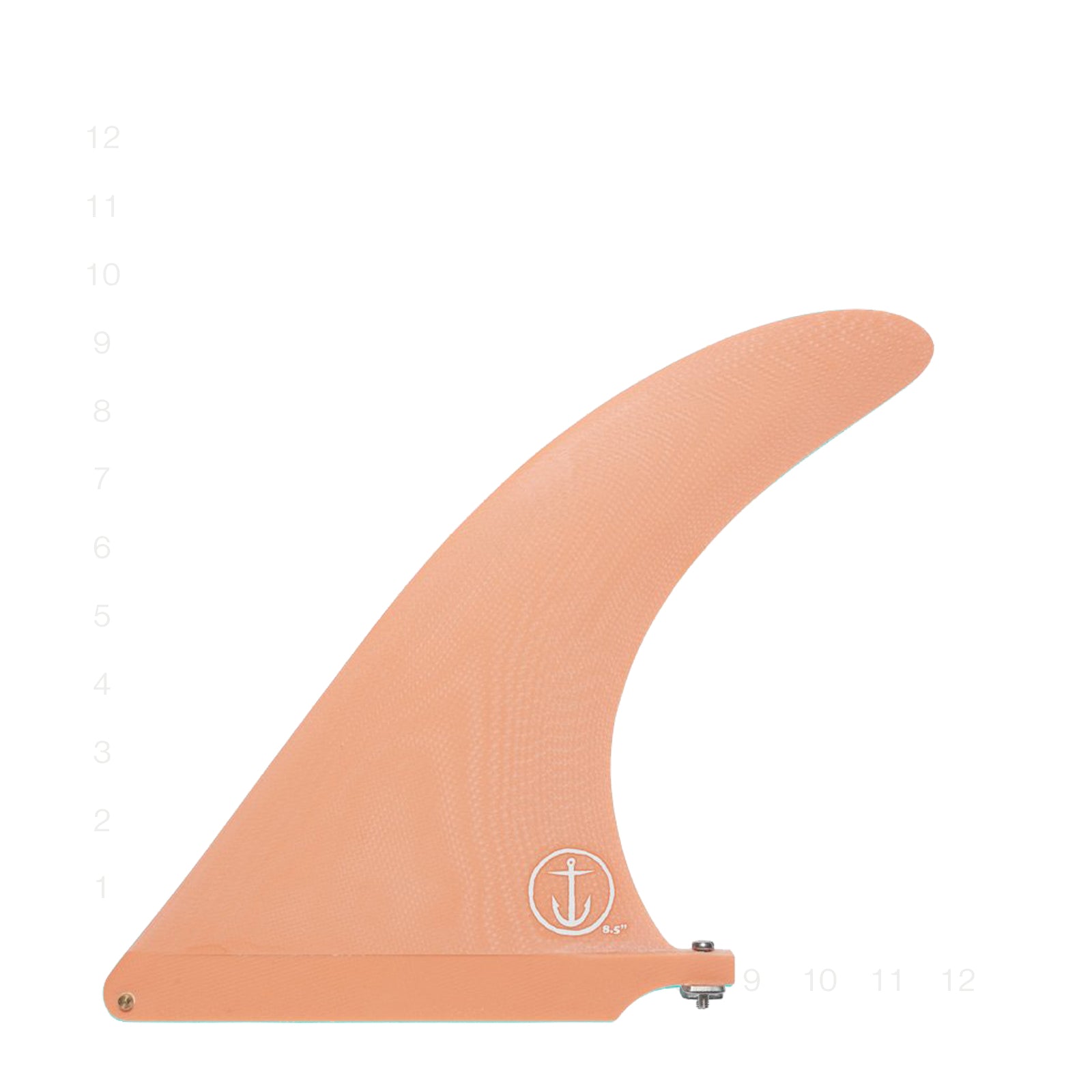 CD RAKED SALMON 9.5"