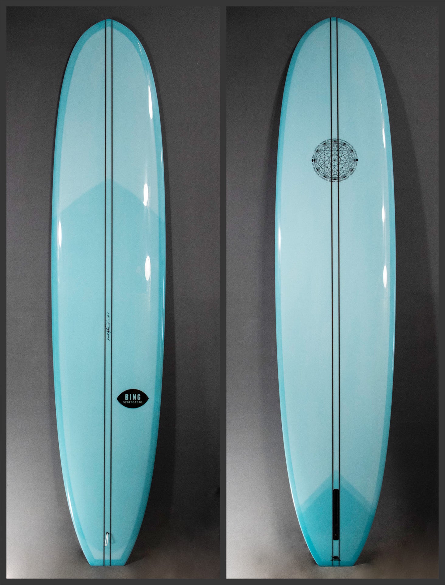 20110 9'4" LEVITATOR TYPE 2